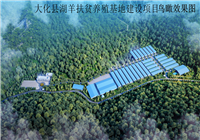 (广西河池市)大化县湖羊扶贫养殖基地建设项目监理服务采购