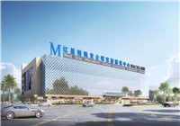 (广西贺州市)贺州红星美凯龙城市综合体项目 (商业体)