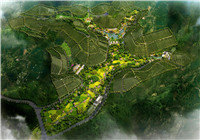 (广西崇左市)扶绥县殡仪服务中心监理项目