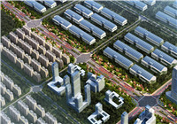 (广西柳州市)柳州市白露大道路网项目二期路侧绿化工程