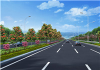 (广西崇左市)龙州县城东大道工程