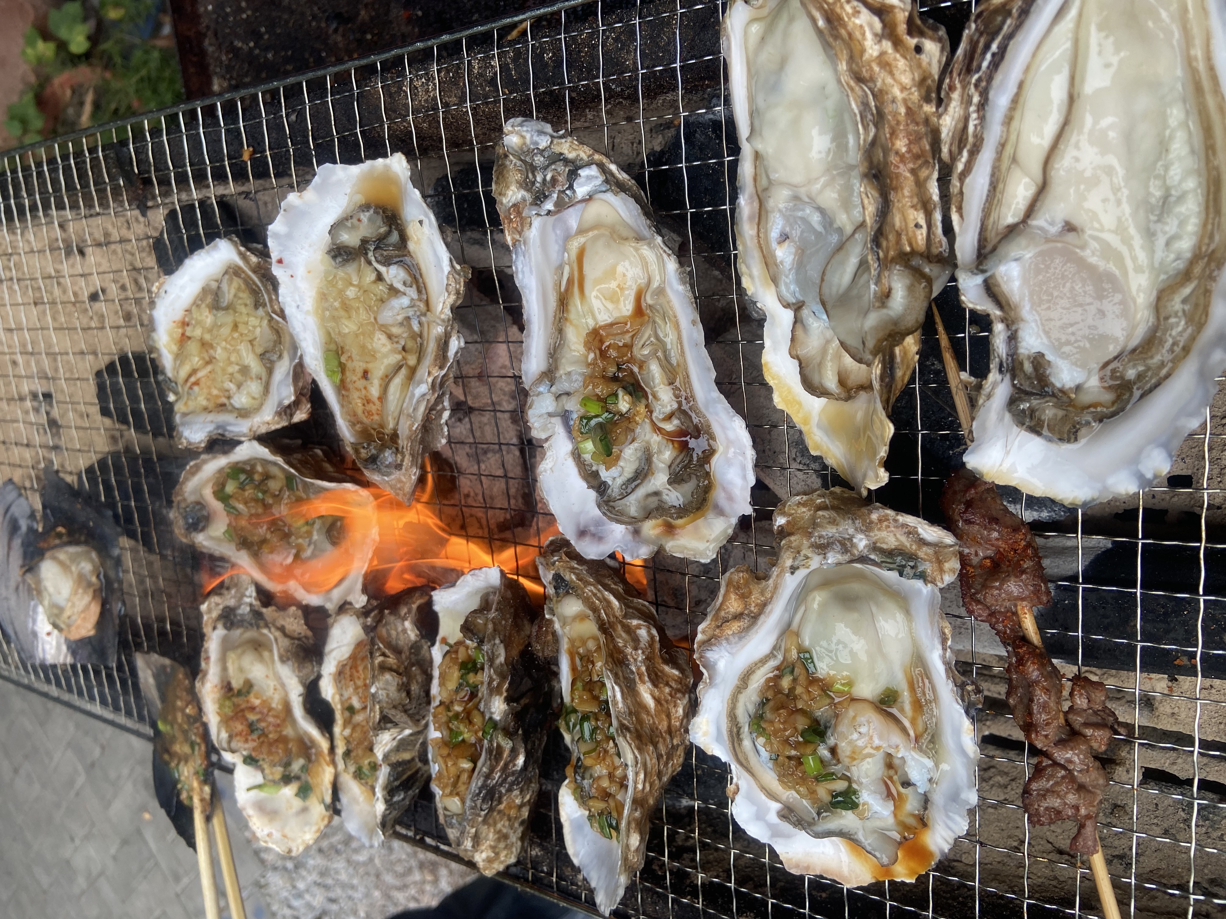 一路前行，感恩有你